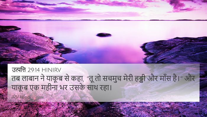उत्पत्ति 29:14 HINIRV Bible Verse Image