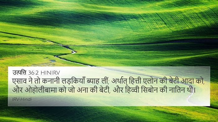 उत्पत्ति 36:2 HINIRV Bible Verse Image