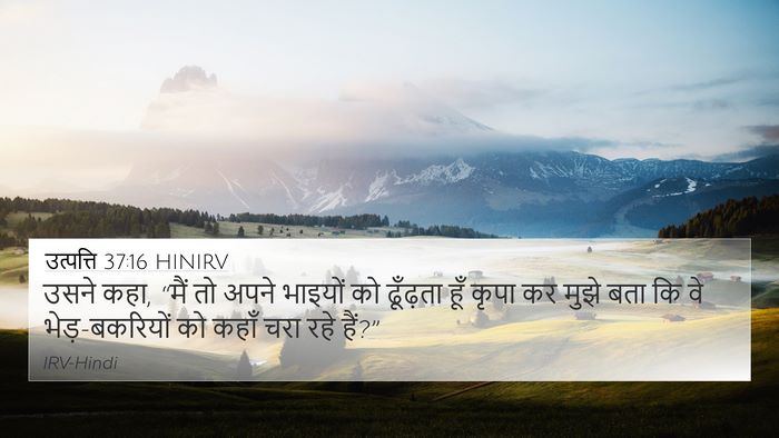 उत्पत्ति 37:16 HINIRV 4K Wallpaper - उसने कहा, “मैं तो - 4K Wallpaper Bible Verse