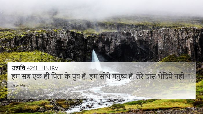 उत्पत्ति 42:11 HINIRV Bible Verse Image
