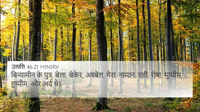 उत्पत्ति 46:21 HINIRV Bible Verse Image