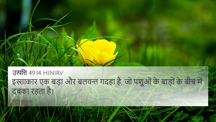उत्पत्ति 49:14 HINIRV Bible Verse Image