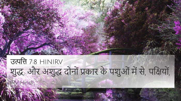 उत्पत्ति 7:8 HINIRV 4K Wallpaper - शुद्ध, और अशुद्ध - 4K Wallpaper Bible Verse