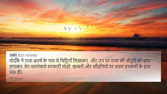 एस्तेर 8:10 HINIRV Bible Verse Image
