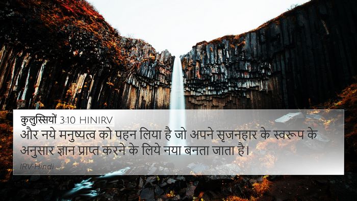 कुलुस्सियों 3:10 HINIRV Bible Verse Image