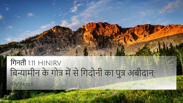 गिनती 1:11 HINIRV Bible Verse Image