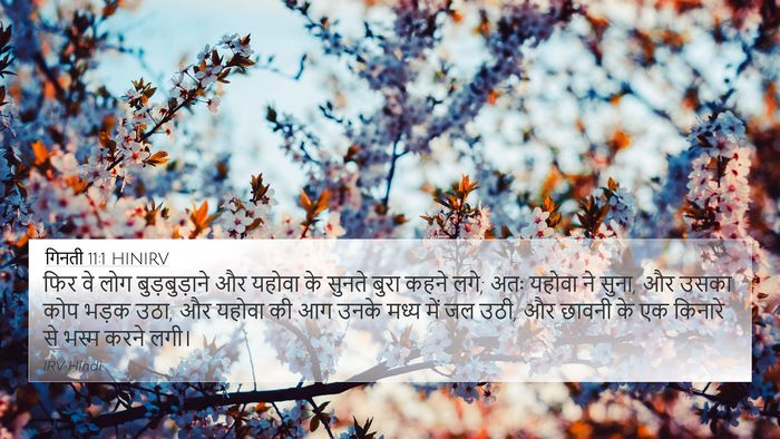 गिनती 11:1 HINIRV Bible Verse Image