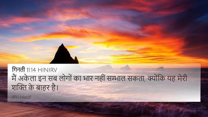 गिनती 11:14 HINIRV 4K Wallpaper - मैं अकेला इन सब - 4K Wallpaper Bible Verse