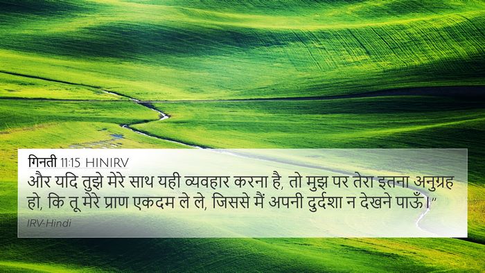 गिनती 11:15 HINIRV Bible Verse Image