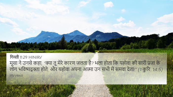 गिनती 11:29 HINIRV Bible Verse Image