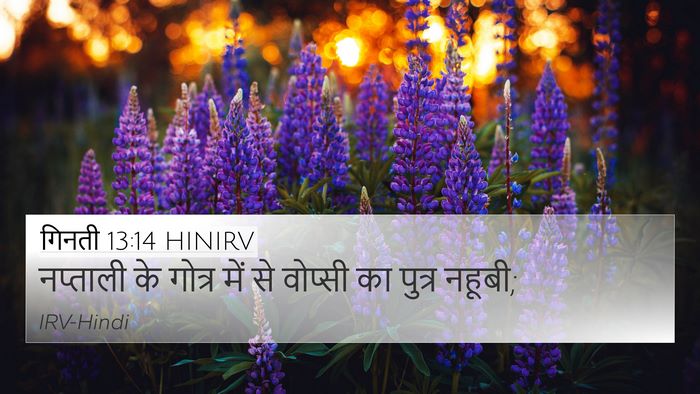 गिनती 13:14 HINIRV 4K Wallpaper - नप्ताली के गोत्र - 4K Wallpaper Bible Verse