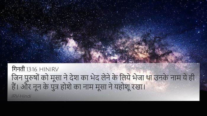 गिनती 13:16 HINIRV Bible Verse Image