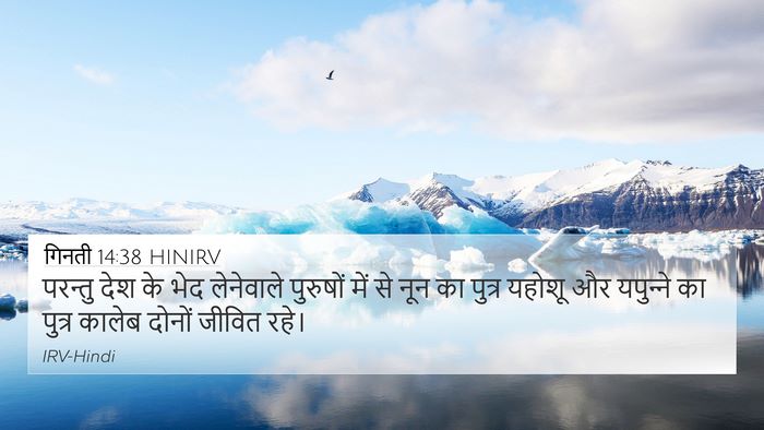गिनती 14:38 HINIRV Bible Verse Image