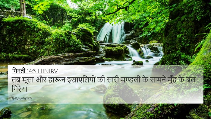 गिनती 14:5 HINIRV 4K Wallpaper - तब मूसा और हारून - 4K Wallpaper Bible Verse