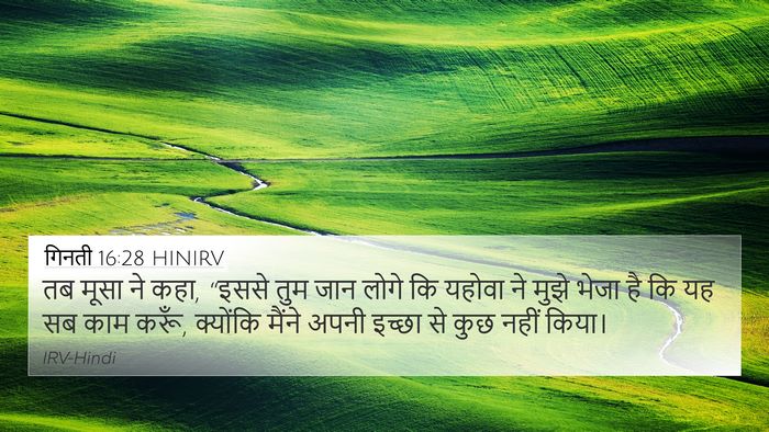 गिनती 16:28 HINIRV Bible Verse Image