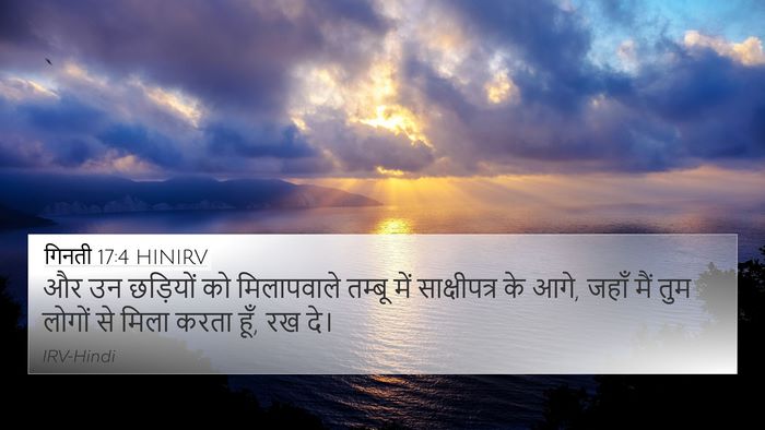 गिनती 17:4 HINIRV Bible Verse Image