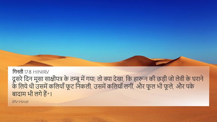 गिनती 17:8 HINIRV Bible Verse Image