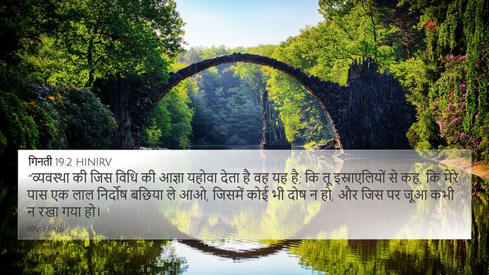 गिनती 19:2 HINIRV Bible Verse Image