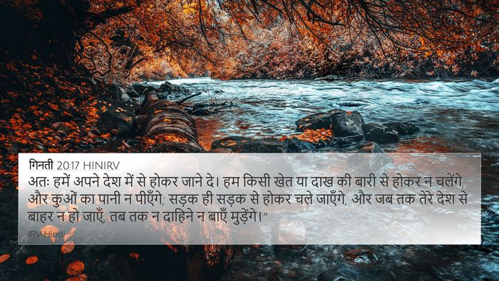 गिनती 20:17 HINIRV Bible Verse Image