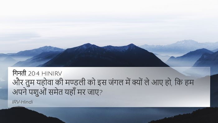 गिनती 20:4 HINIRV Bible Verse Image