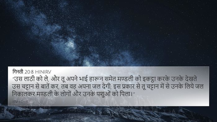गिनती 20:8 HINIRV Bible Verse Image
