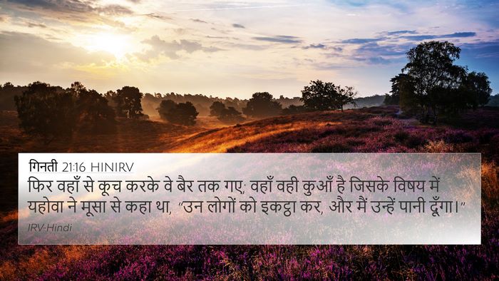 गिनती 21:16 HINIRV 4K Wallpaper - फिर वहाँ से कूच - 4K Wallpaper Bible Verse