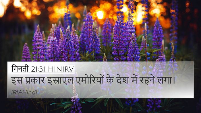 गिनती 21:31 HINIRV Bible Verse Image
