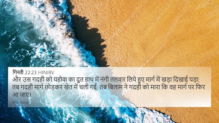 गिनती 22:23 HINIRV 4K Wallpaper - और उस गदही को यहोवा - 4K Wallpaper Bible Verse