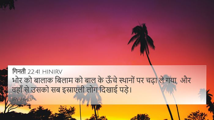 गिनती 22:41 HINIRV Bible Verse Image
