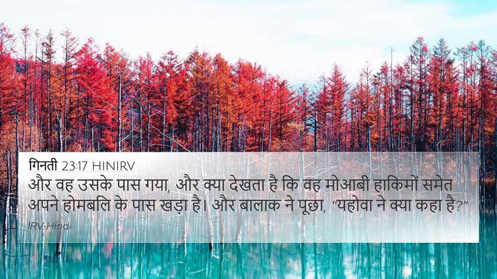 गिनती 23:17 HINIRV 4K Wallpaper - और वह उसके पास गया, - 4K Wallpaper Bible Verse