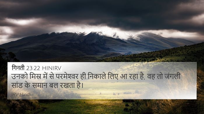 गिनती 23:22 HINIRV Bible Verse Image