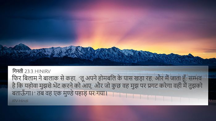 गिनती 23:3 HINIRV Bible Verse Image