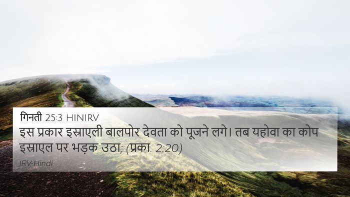 गिनती 25:3 HINIRV 4K Wallpaper - इस प्रकार - 4K Wallpaper Bible Verse