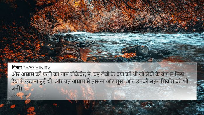 गिनती 26:59 HINIRV Bible Verse Image