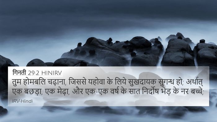 गिनती 29:2 HINIRV Bible Verse Image