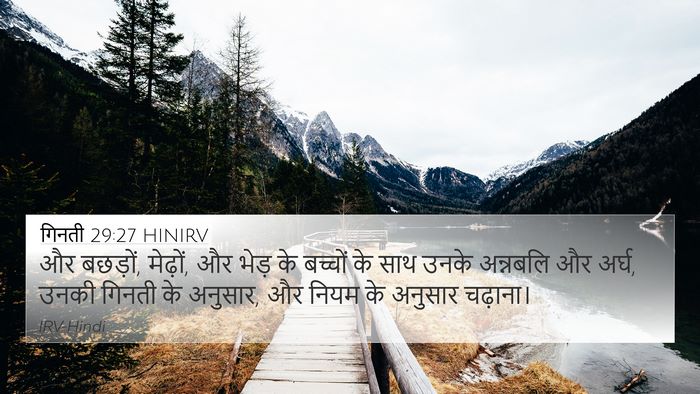 गिनती 29:27 HINIRV 4K Wallpaper - और बछड़ों, मेढ़ों, - 4K Wallpaper Bible Verse
