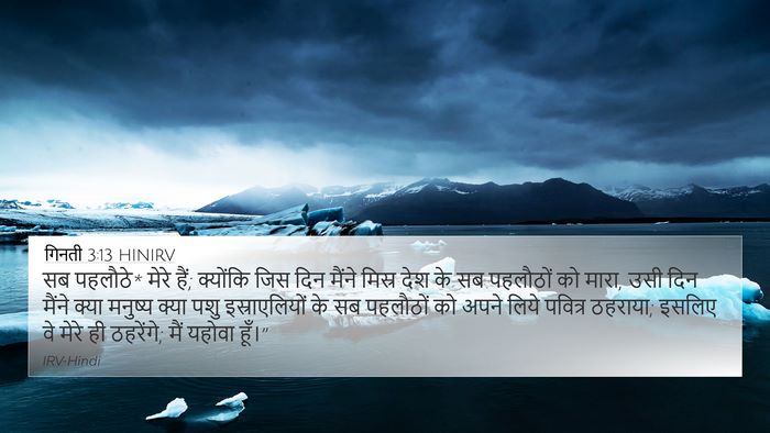 गिनती 3:13 HINIRV 4K Wallpaper - सब पहलौठे* मेरे - 4K Wallpaper Bible Verse