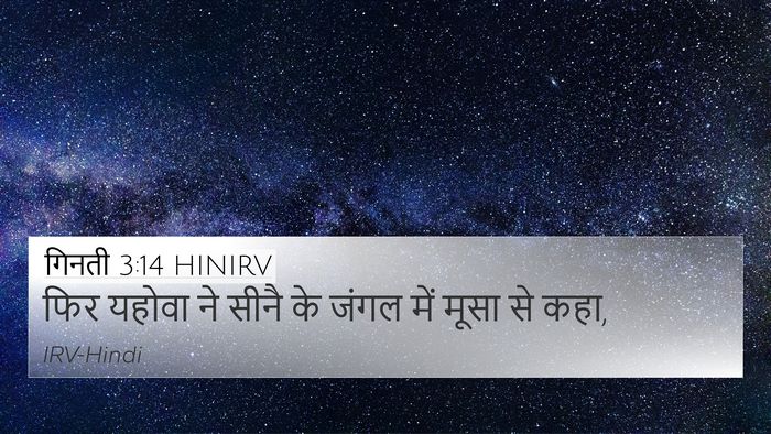 गिनती 3:14 HINIRV 4K Wallpaper - फिर यहोवा ने सीनै - 4K Wallpaper Bible Verse