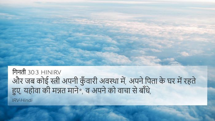 गिनती 30:3 HINIRV Bible Verse Image