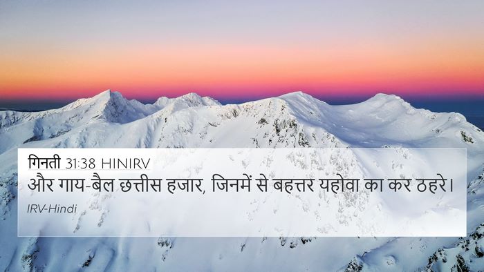गिनती 31:38 HINIRV 4K Wallpaper - और गाय-बैल छत्तीस - 4K Wallpaper Bible Verse