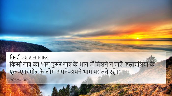 गिनती 36:9 HINIRV Bible Verse Image