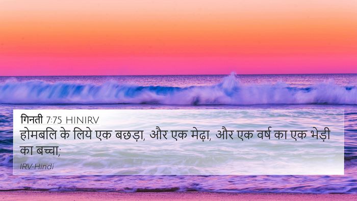 गिनती 7:75 HINIRV 4K Wallpaper - होमबलि के लिये एक - 4K Wallpaper Bible Verse