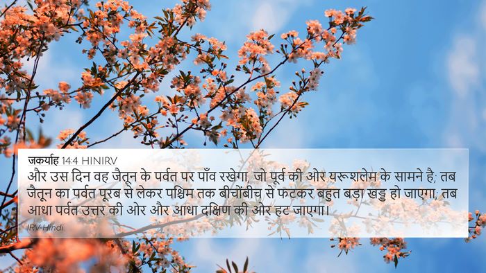 जकर्याह 14:4 HINIRV Bible Verse Image