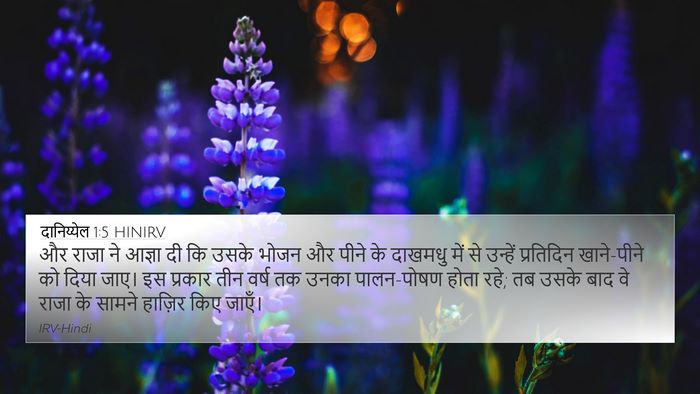 दानिय्येल 1:5 HINIRV 4K Wallpaper - और राजा ने आज्ञा दी - 4K Wallpaper Bible Verse