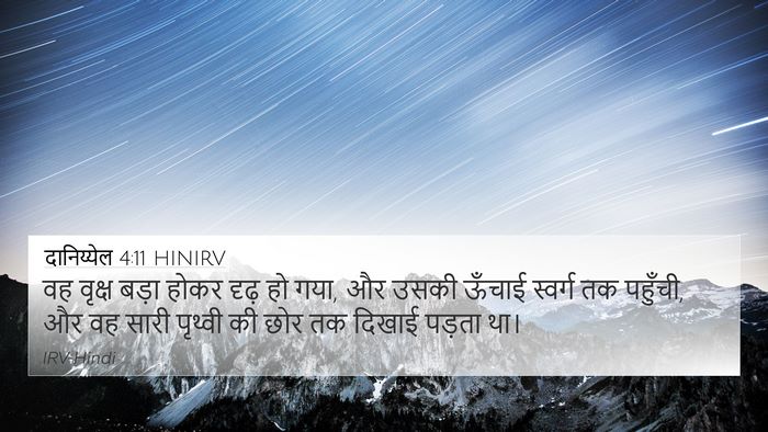 दानिय्येल 4:11 HINIRV 4K Wallpaper - वह वृक्ष बड़ा होकर - 4K Wallpaper Bible Verse