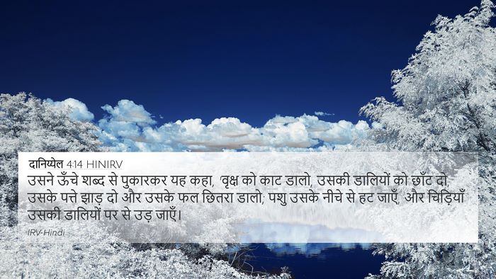 दानिय्येल 4:14 HINIRV Bible Verse Image
