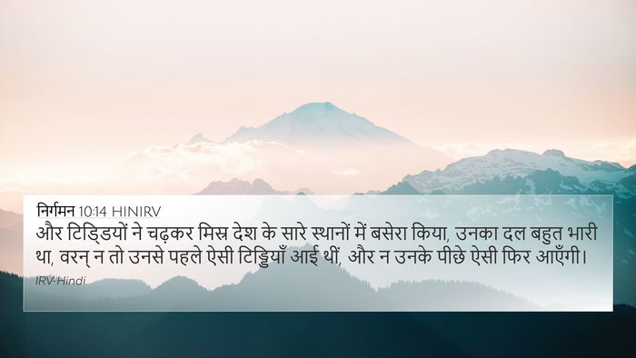 निर्गमन 10:14 HINIRV Bible Verse Image