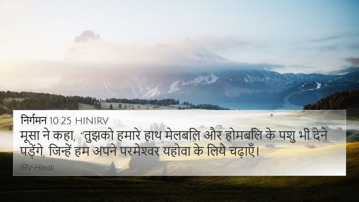 निर्गमन 10:25 HINIRV 4K Wallpaper - मूसा ने कहा, “तुझको - 4K Wallpaper Bible Verse