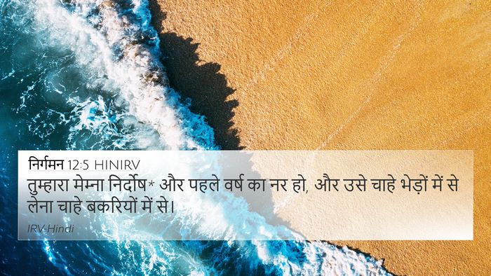 निर्गमन 12:5 HINIRV Bible Verse Image