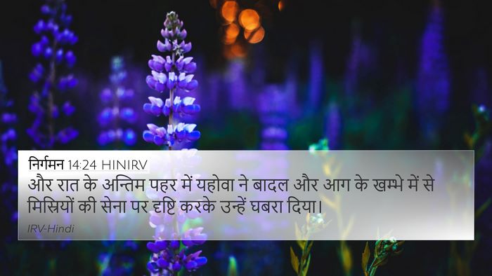 निर्गमन 14:24 HINIRV Bible Verse Image